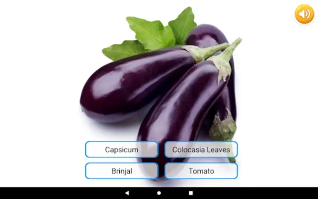 Fruits & Vegetables android App screenshot 1